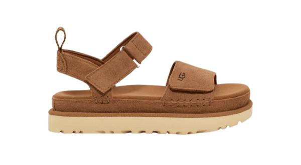 Chestnut-2-1-600x330